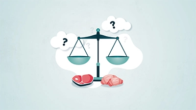 Proteína VS Hidratos de Carbono